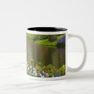 Tulpen- und Hyazinthen-Garten, Keukenhof-Gärten, 2 Zweifarbige Tasse