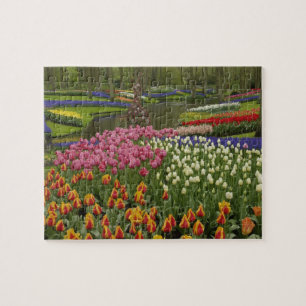 Tulpen- und Hyazinthen-Garten, Keukenhof-Gärten, Puzzle