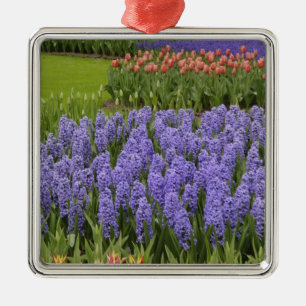 Tulpen- und Hyazinthen-Garten, Keukenhof-Gärten, Silbernes Ornament