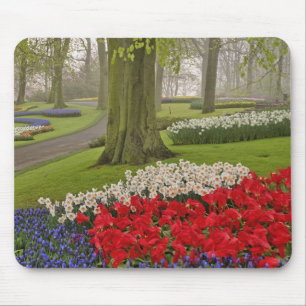 Tulpen und Narzissen, Keukenhof-Gärten, Mousepad