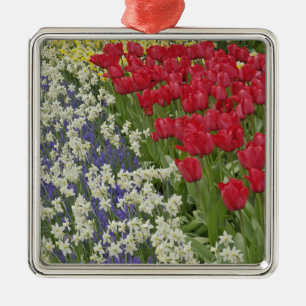 Tulpen- und Narzissengarten, Keukenhof-Gärten, Ornament Aus Metall