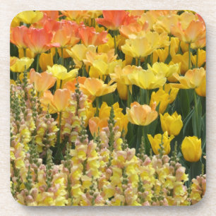 Tulpen und Snapdragons Untersetzer