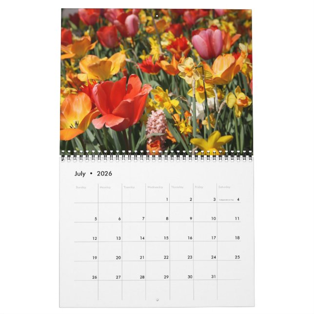 Tulpen und Windmühlen Kalender (Jul 2026)