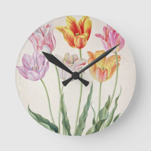 Tulpen, vom "NassauFlorilegium" (w/c auf pape Runde Wanduhr