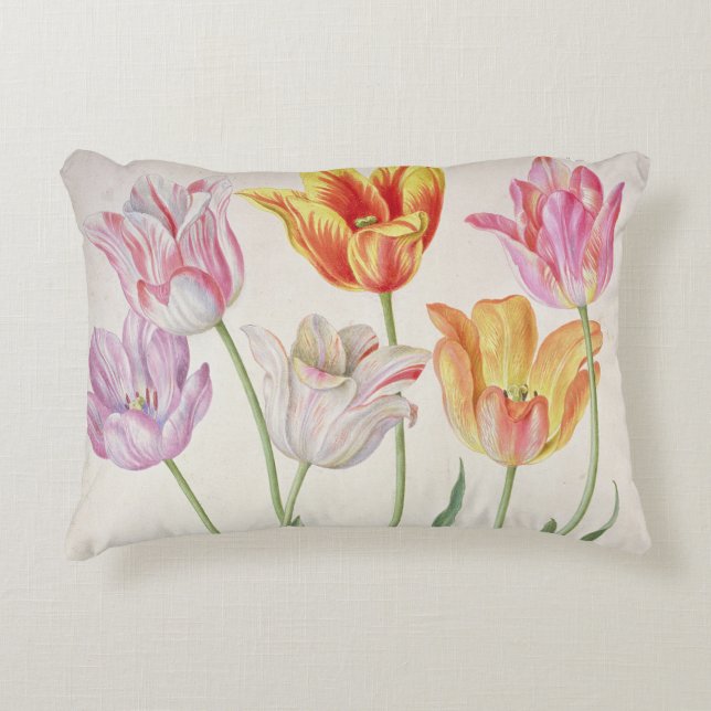 Tulpen, vom "NassauFlorilegium" (w/c auf pape Zierkissen (Vorderseite)