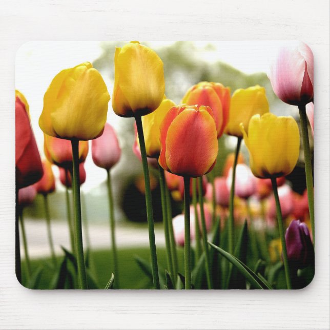 Tulpen von Kelsy Mousepad (Vorne)
