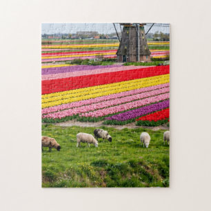 Tulpen-Windmühlen-Puzzle Puzzle