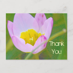 Tulpenblume Danke leer Karte