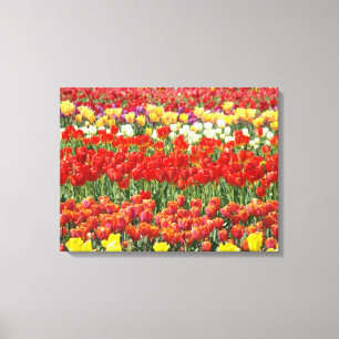 Tulpenblumenfestival Leinwand Fine Art Drucke