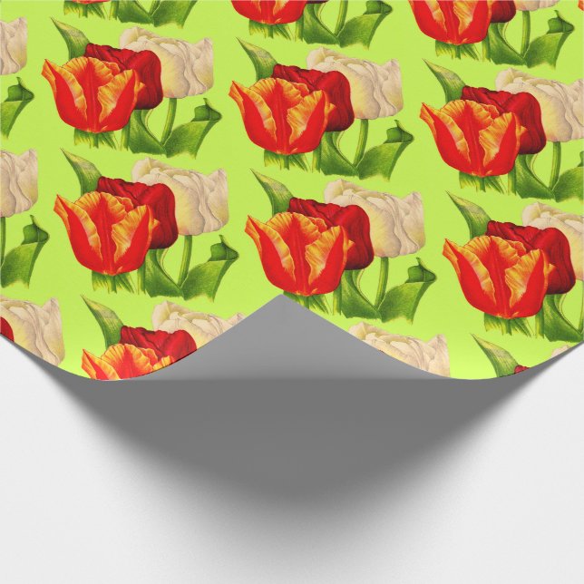 Tulpendruck Geschenkpapier (Ecke)