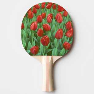 Tulpenfeld blüht im Frühling. Tischtennis Schläger