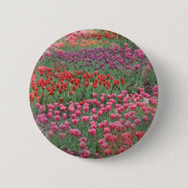 Tulpenfeld Button (Vorderseite)