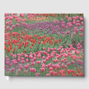 Tulpenfeld Gästebuch