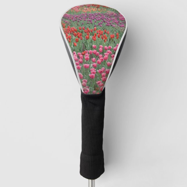 Tulpenfeld Golf Headcover (Vorderseite)