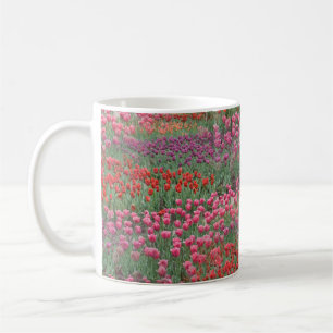 Tulpenfeld Kaffeetasse