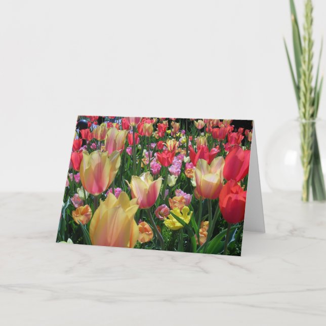 Tulpenfeld Karte (Vorderseite)