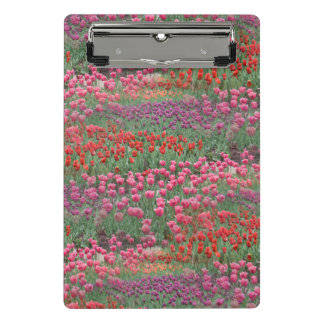 Tulpenfeld Mini Klemmbrett