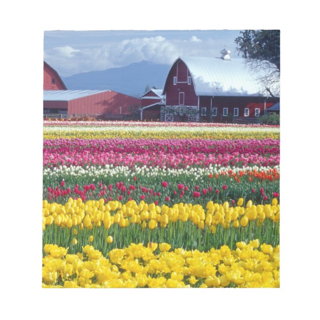 Tulpenfeld Notizblock (Vorderseite)