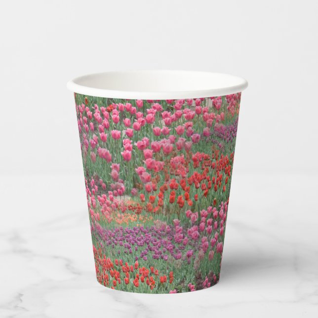 Tulpenfeld Pappbecher (Vorderseite)