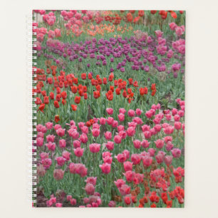 Tulpenfeld Planer