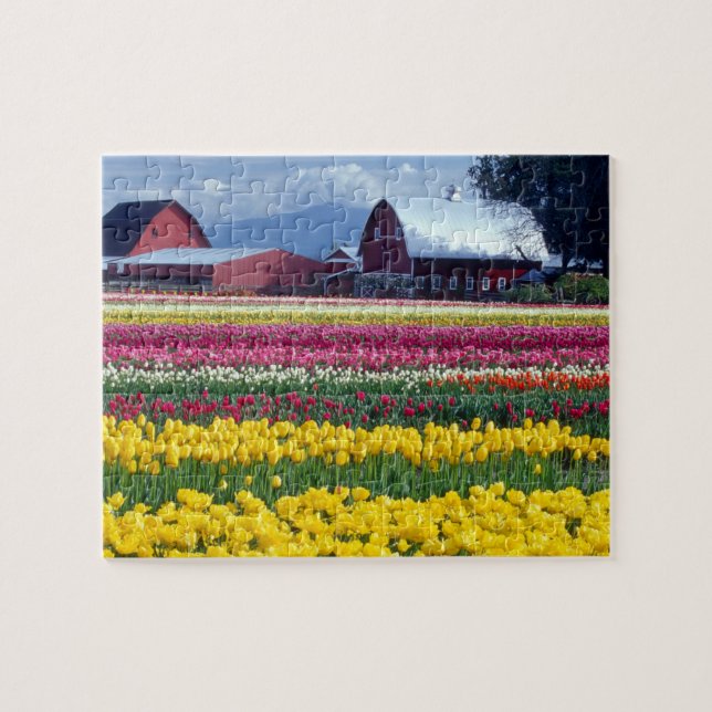 Tulpenfeld Puzzle (Horizontal)