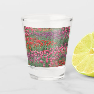 Tulpenfeld Schnapsglas