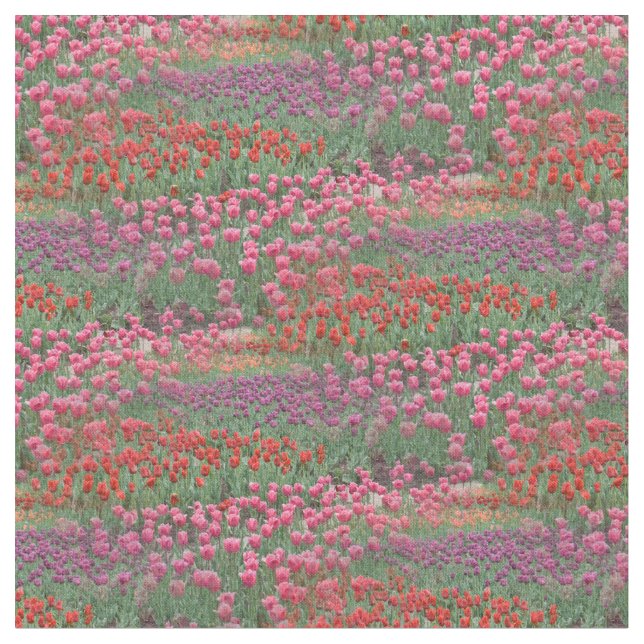 Tulpenfeld Stoff (Nahaufnahme)