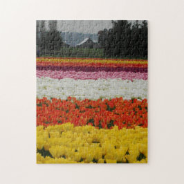 Tulpenfelder-Puzzle, 28 cm x 36 cm, 252 Teile Puzzle