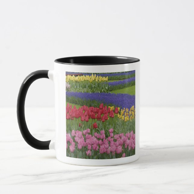 Tulpengarten, Hyazinthen und Tasse (Links)