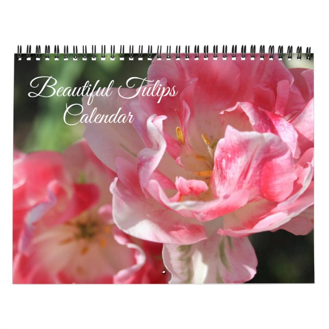 Tulpenkalender in mittlerer Größe Kalender (Titelbild)
