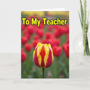 Tulpenkarte zur Lehrerbestehlung Karte