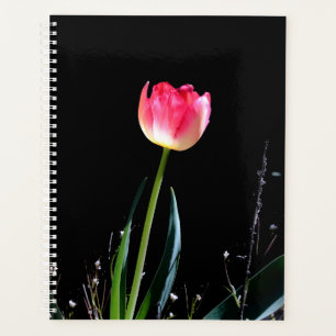 Tulpenplaner Planer