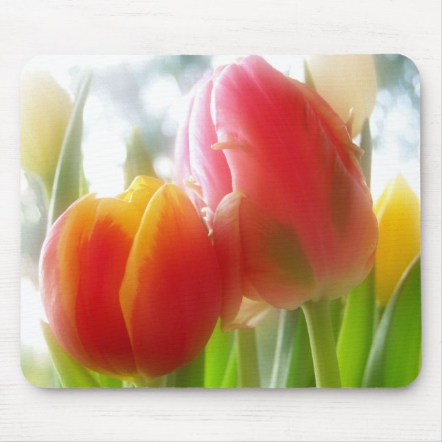 TulpenZWEI-Zusammen-Mousepad Mousepad (Vorne)