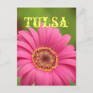 "Tulsa" Pink Gerbera Daisy Postcard Postkarte