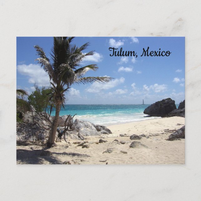 Tulum, Mexiko - Strand - Palmen Postkarte (Vorderseite)