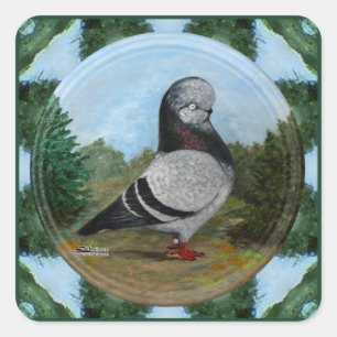 Tumbler Blue Grizzle Pigeon Quadratischer Aufkleber