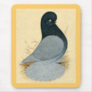 Tumbler: Muffed Andalusian Mousepad