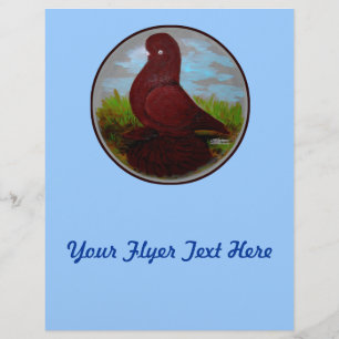 Tumbler Pigeon Red Muff Flyer