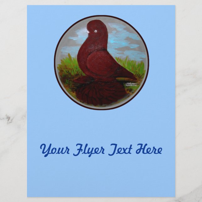 Tumbler Pigeon Red Muff Flyer (Vorne)
