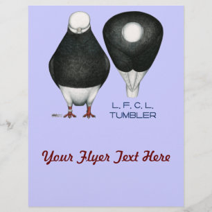 Tumbler Pigeon Standard Black Bald Flyer