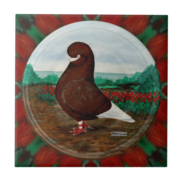 Tumbler Red Beard Pigeon Fliese (Vorderseite)