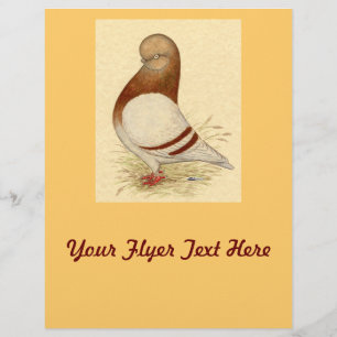 Tumbler-Taube: LFCL Mealy Flyer