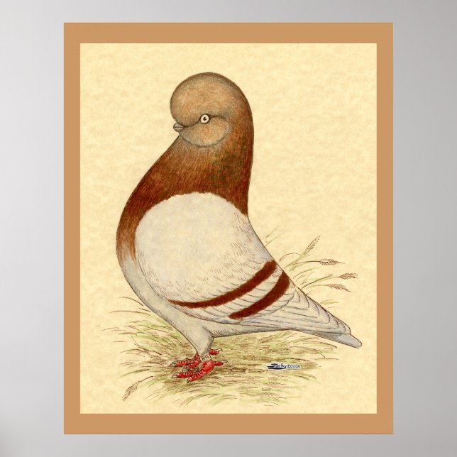 Tumbler-Taube: LFCL Mealy Poster (Vorne)