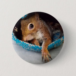 Tumbleweed in seinem Nest Button