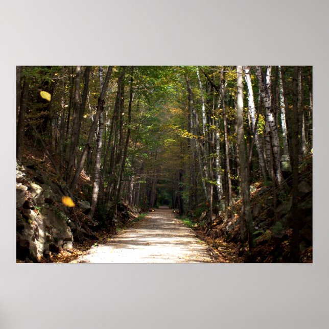 Tumbling Blätter Poster (Vorne)