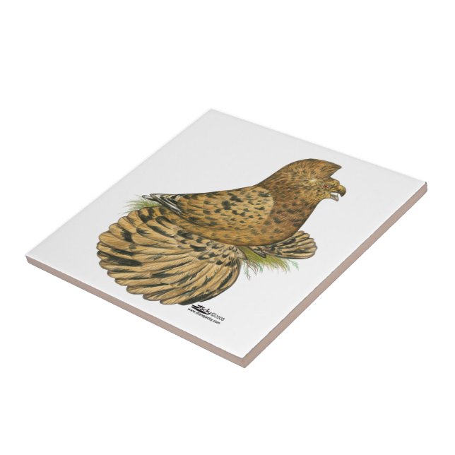 Tumpeter Pigeon Almond Fliese (Seite)