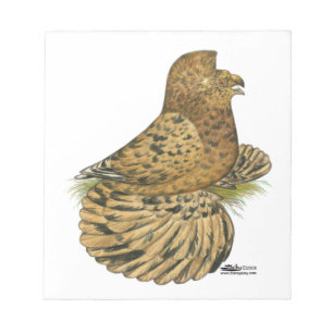 Tumpeter Pigeon Almond Notizblock