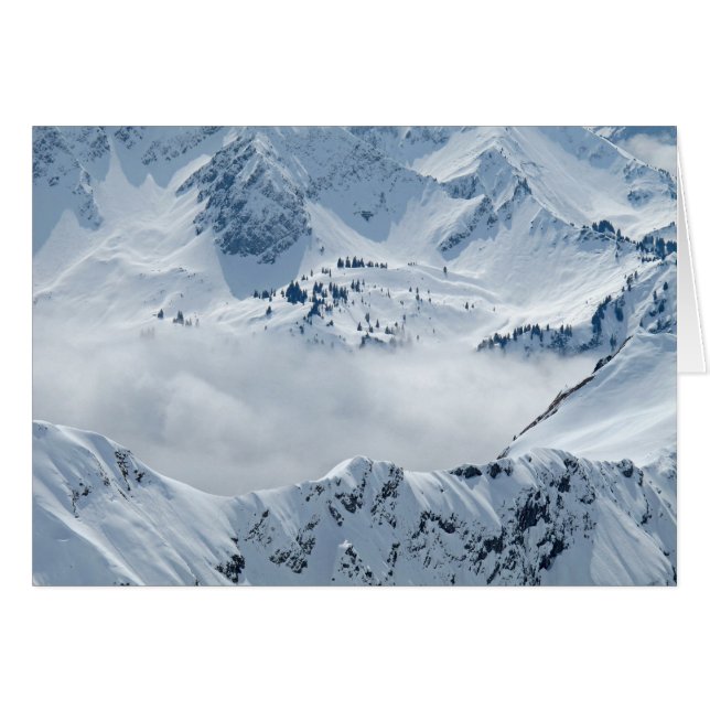 Tundra (Vorderseite (Horizontal))