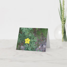 Tundra-Rose - 4" x 5,6" Notizkarte Feiertagskarte