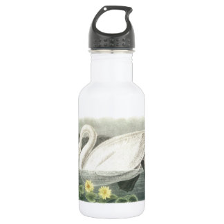 Tundra Swan von Audubon Trinkflasche